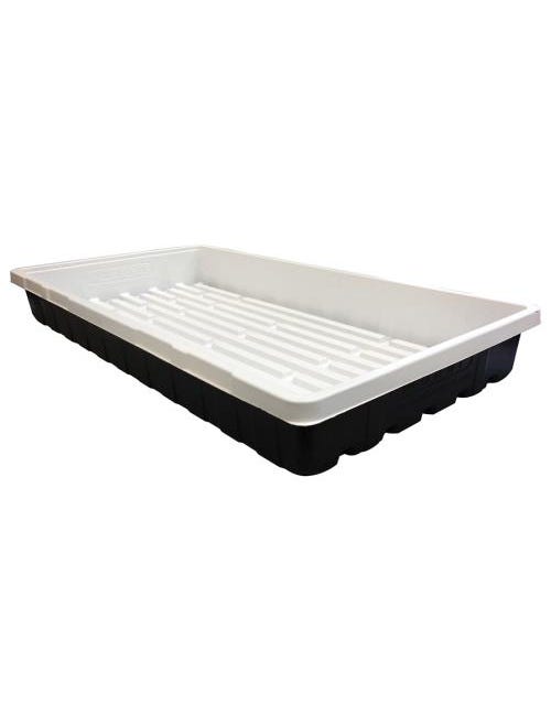 Mondi Black & White Premium 10 x 20 Propagation Tray (50/Cs)