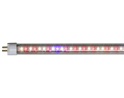 AgroLED iSunlight 41 Watt T5 4 ft Bloom LED Lamp (25/Cs)